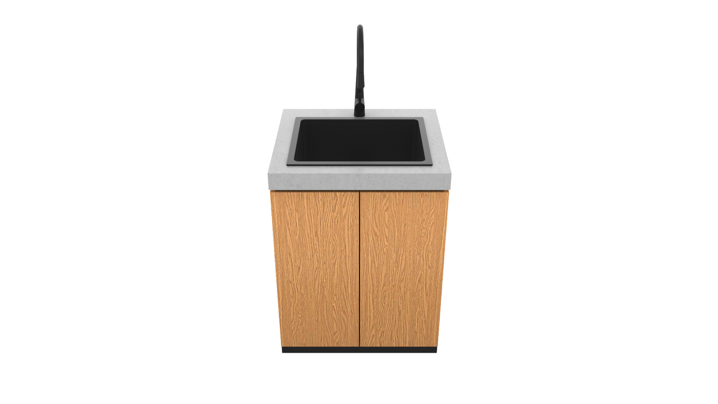 Sink Module