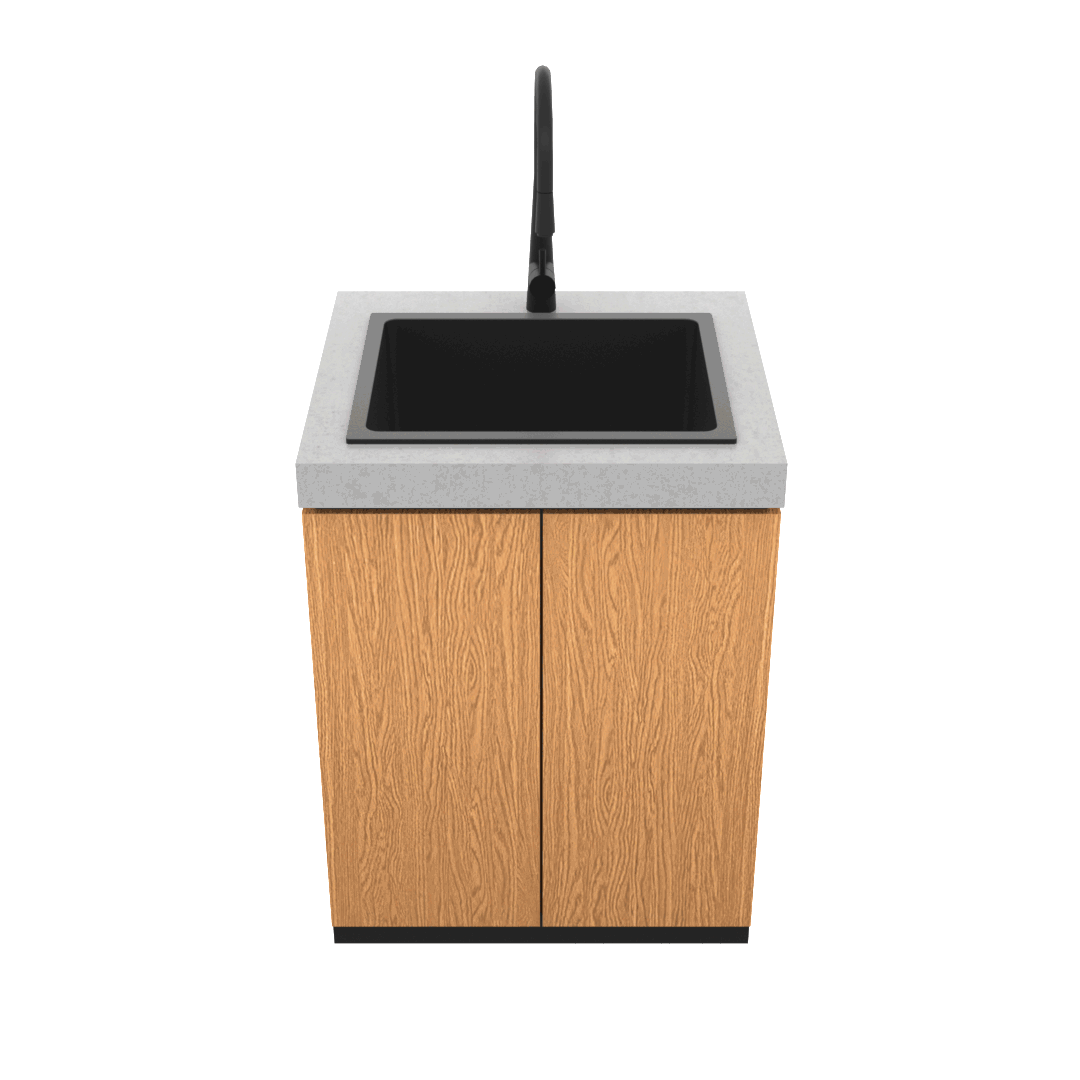 Sink Module