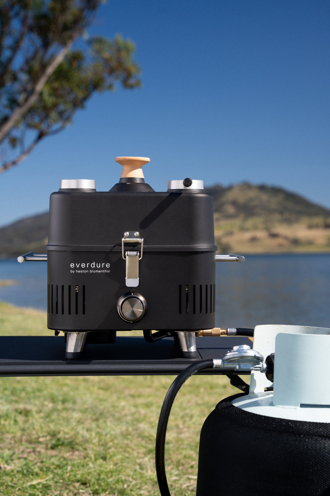 PROFLAME Propane Hose and Regulator Kit