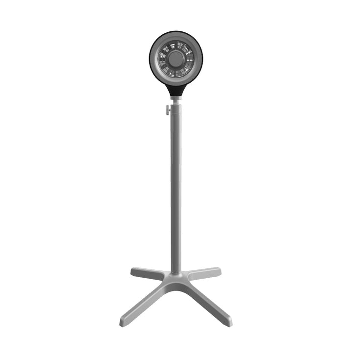 Pedestal Fan