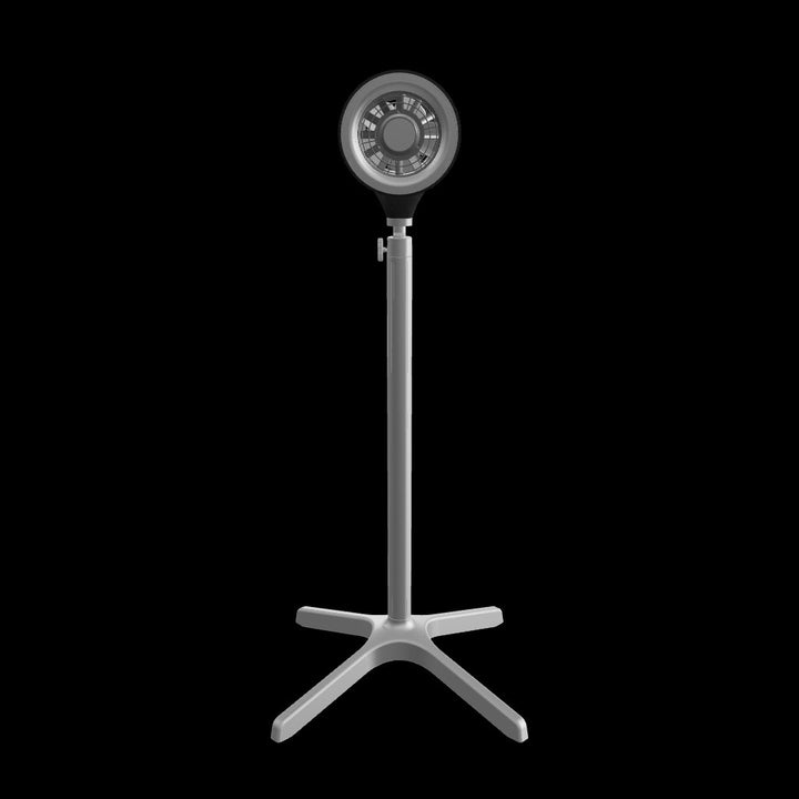 Pedestal Fan