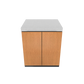 Shelf Storage Module